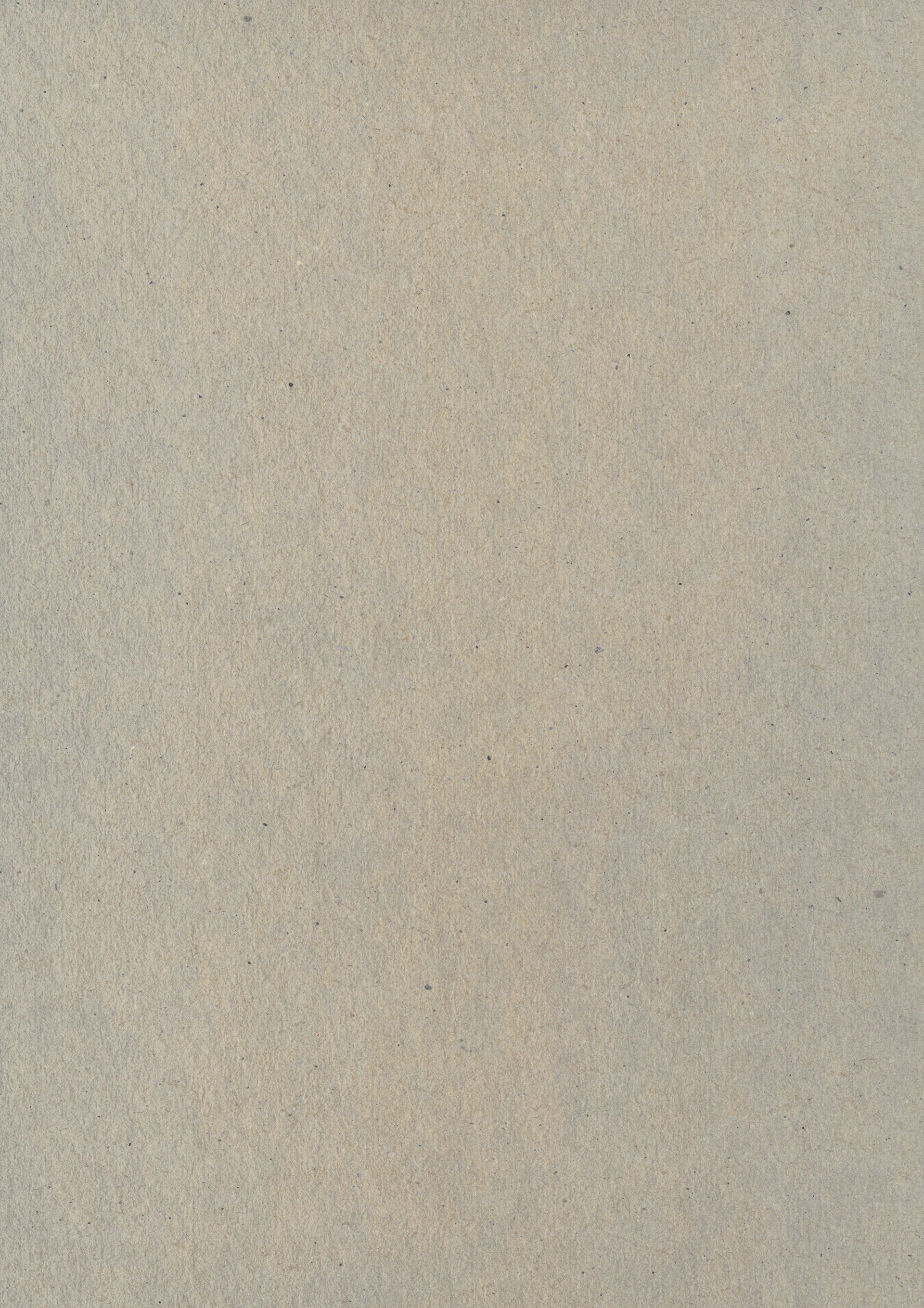 person in black shoes standing on gray concrete floor