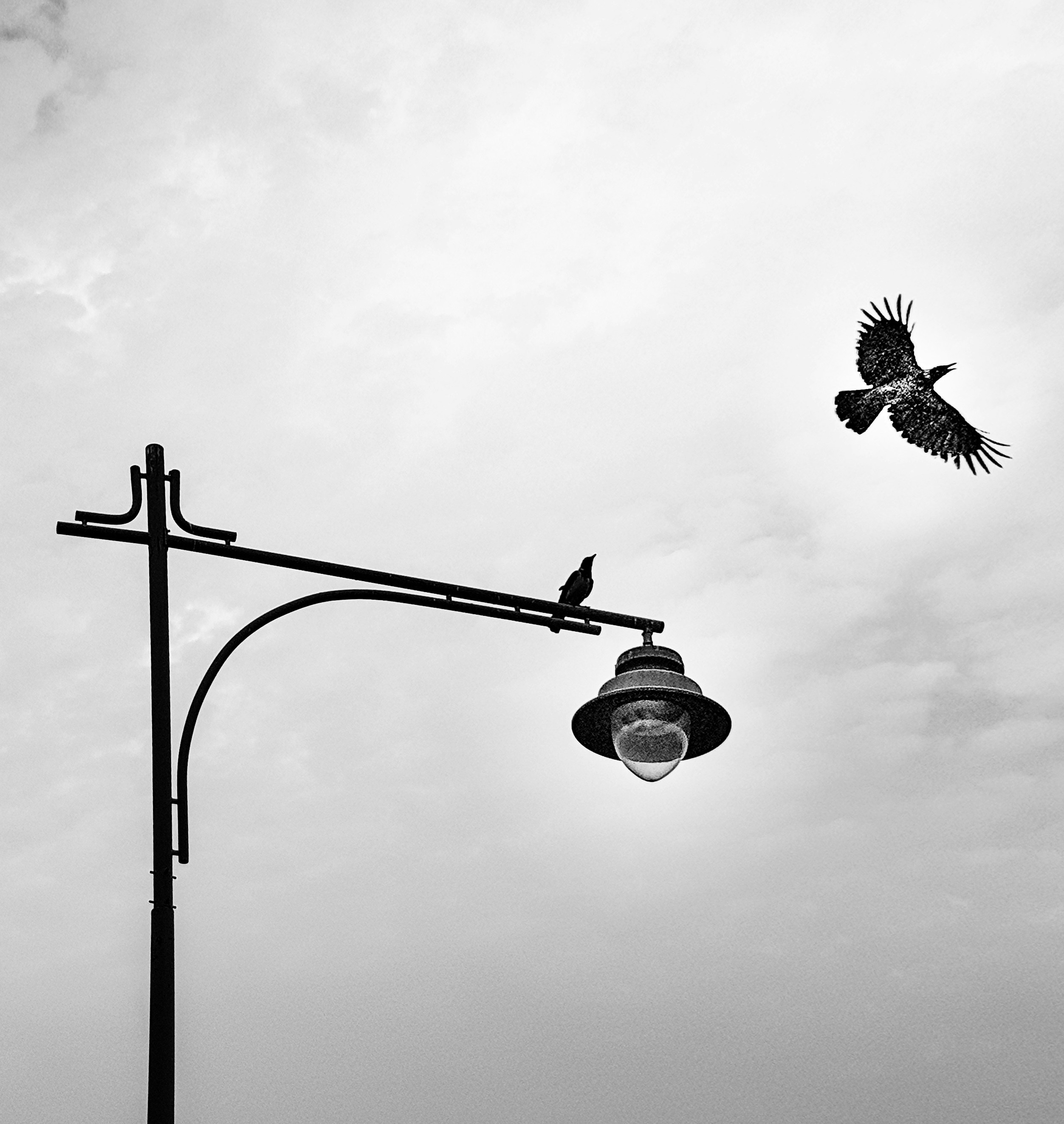Photo by emad_khalil9