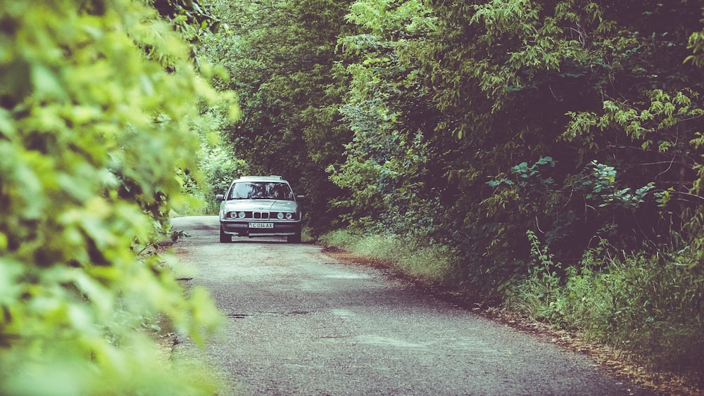 black car on road between green trees during daytime