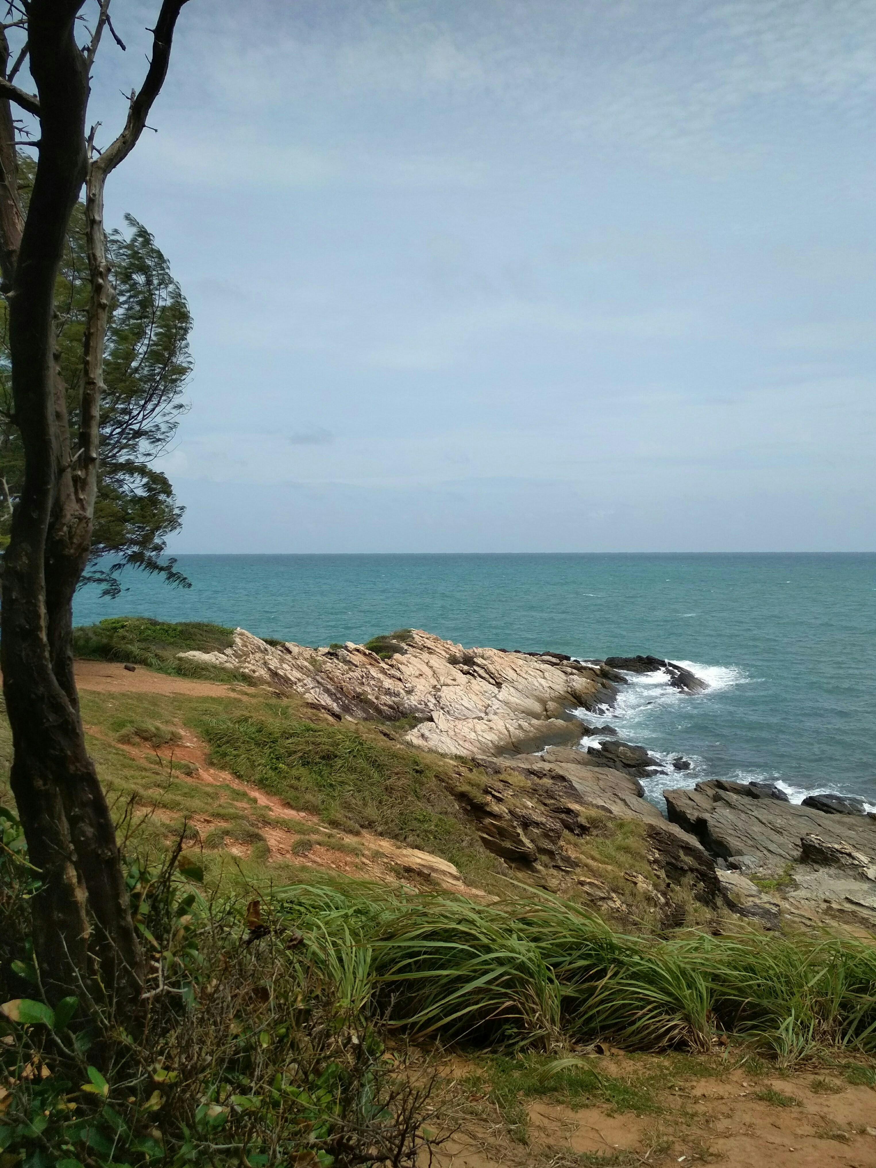 Photo by gugu_monsta