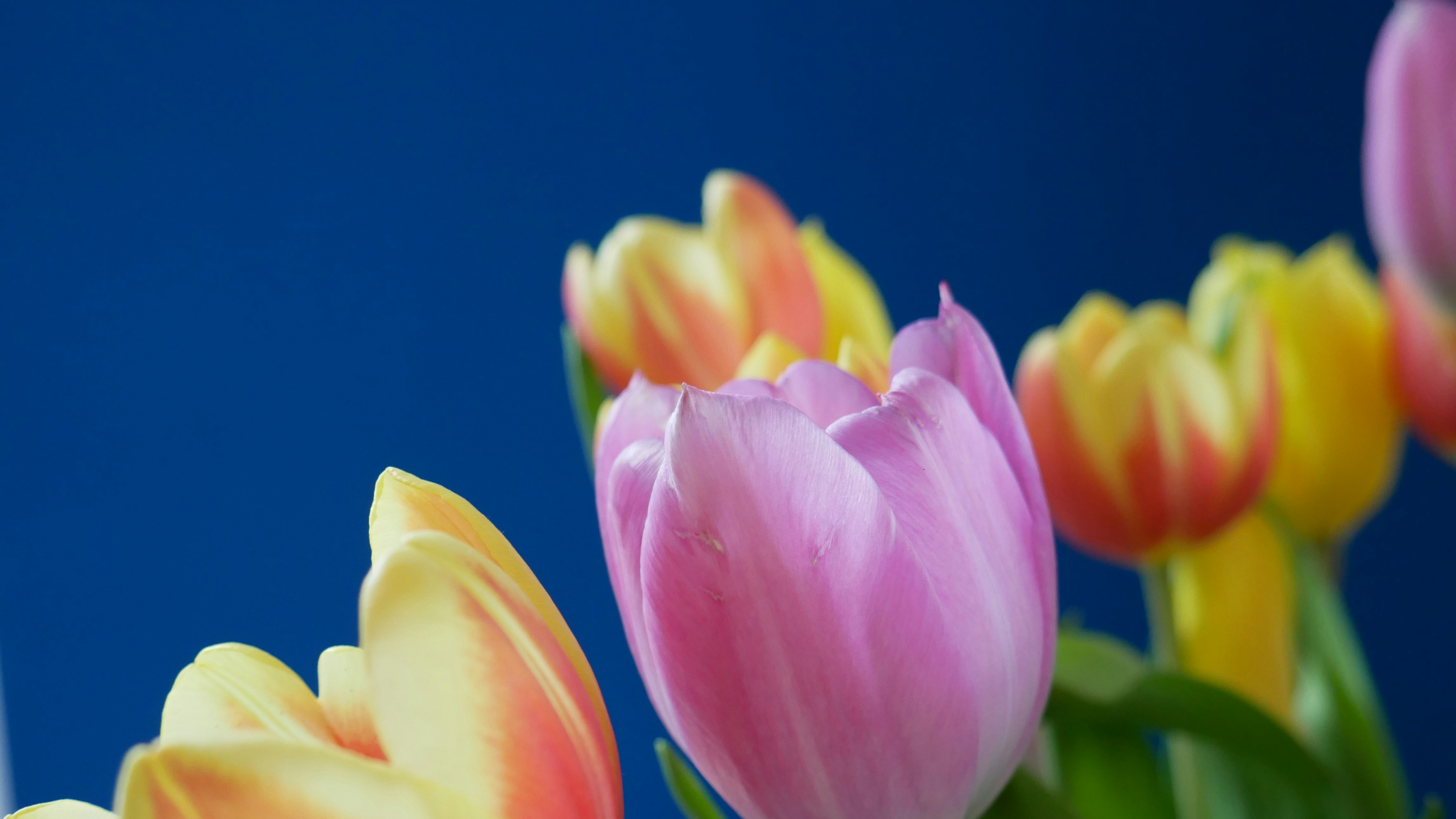 Photo by hamburglove