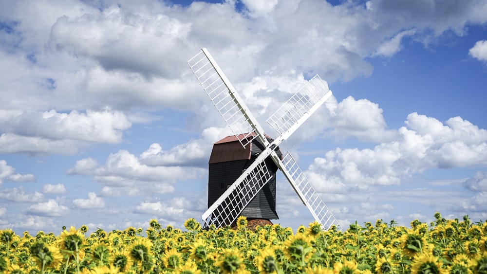 brown and white windmill under white clouds and blue sky during daytime