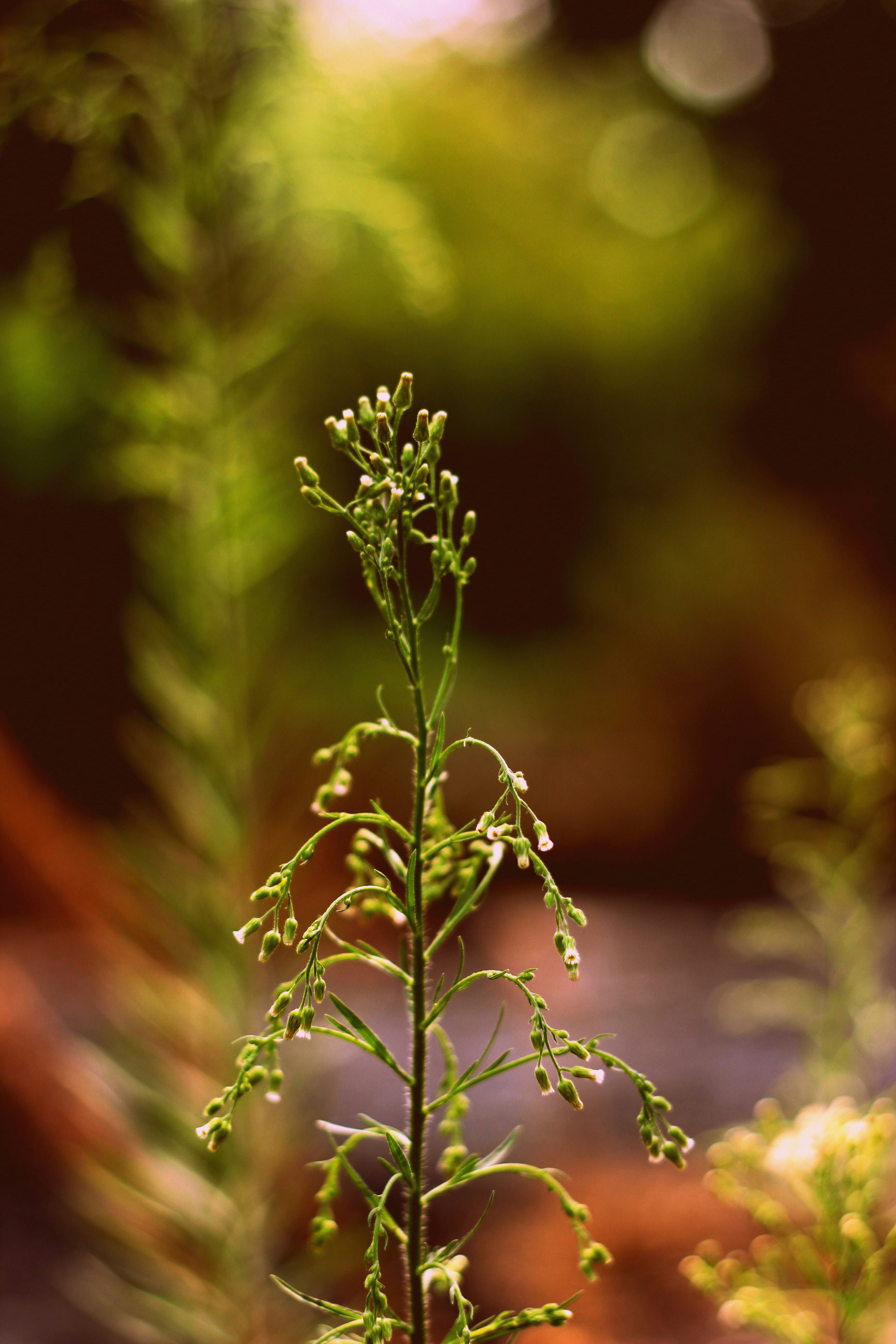 Photo by adeelshabir