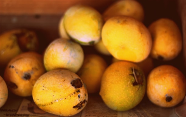A pile of ripe mangoes lies in a wooden crate, with some showing signs of dark spots and blemishes on their skins. The warm lighting enhances the deep yellows and oranges of the fruit.