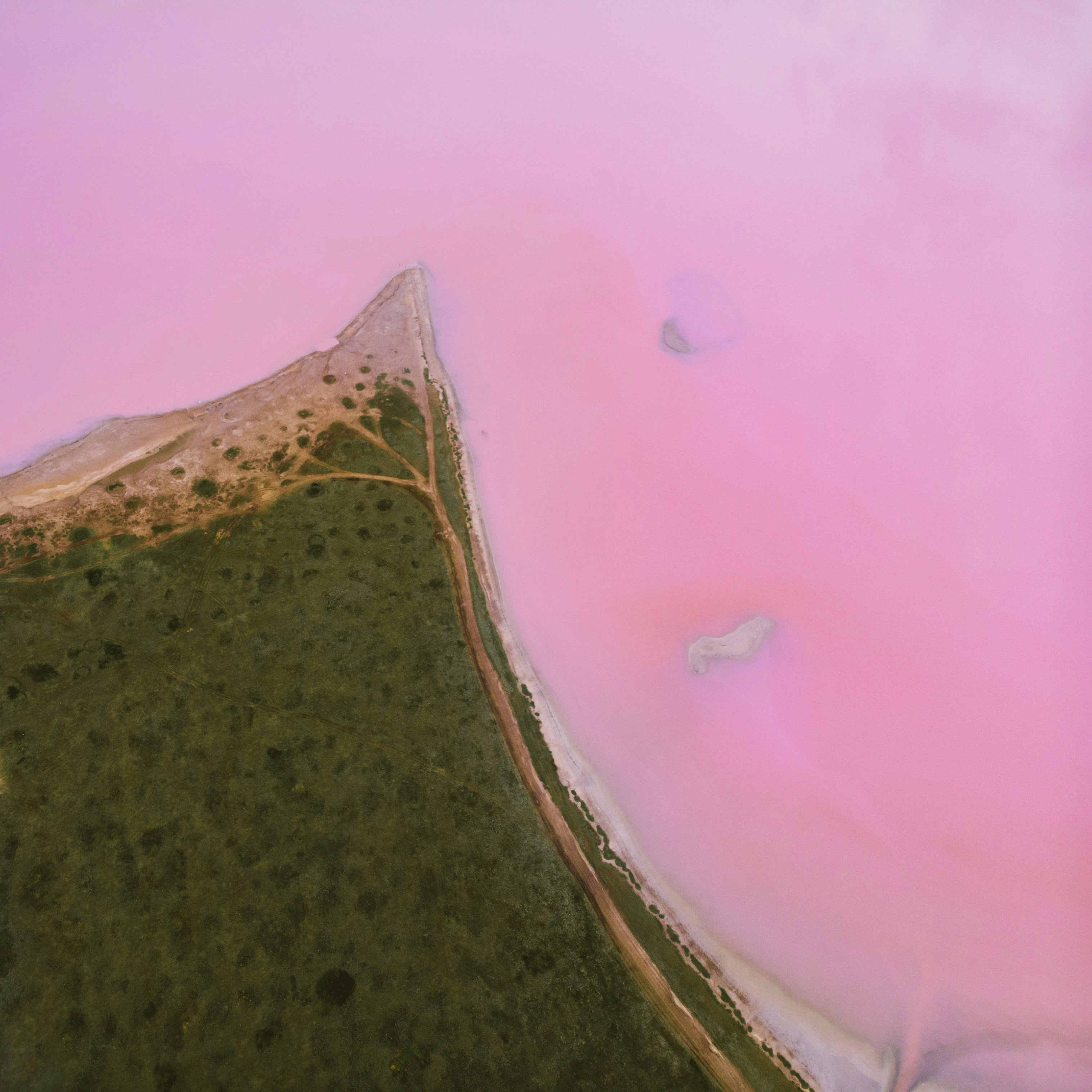 Pink lake