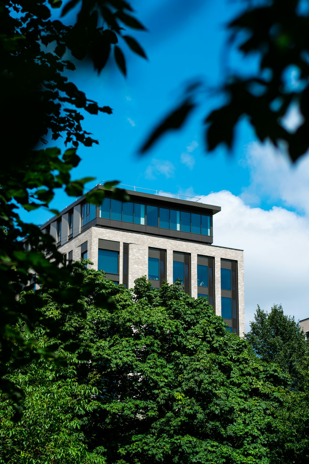 white concrete building near green trees under blue sky during daytime