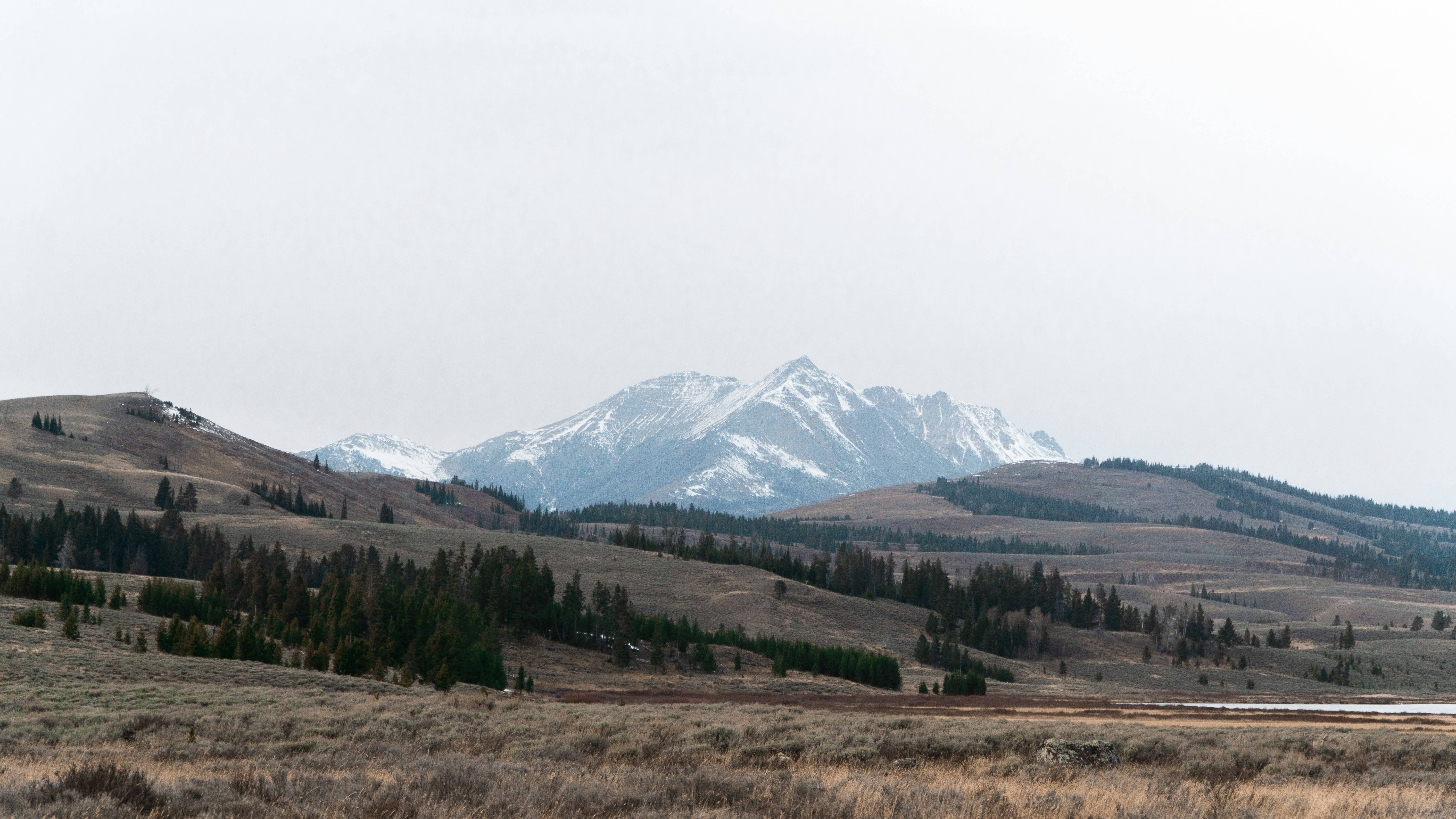 Photo by christiandantelucas