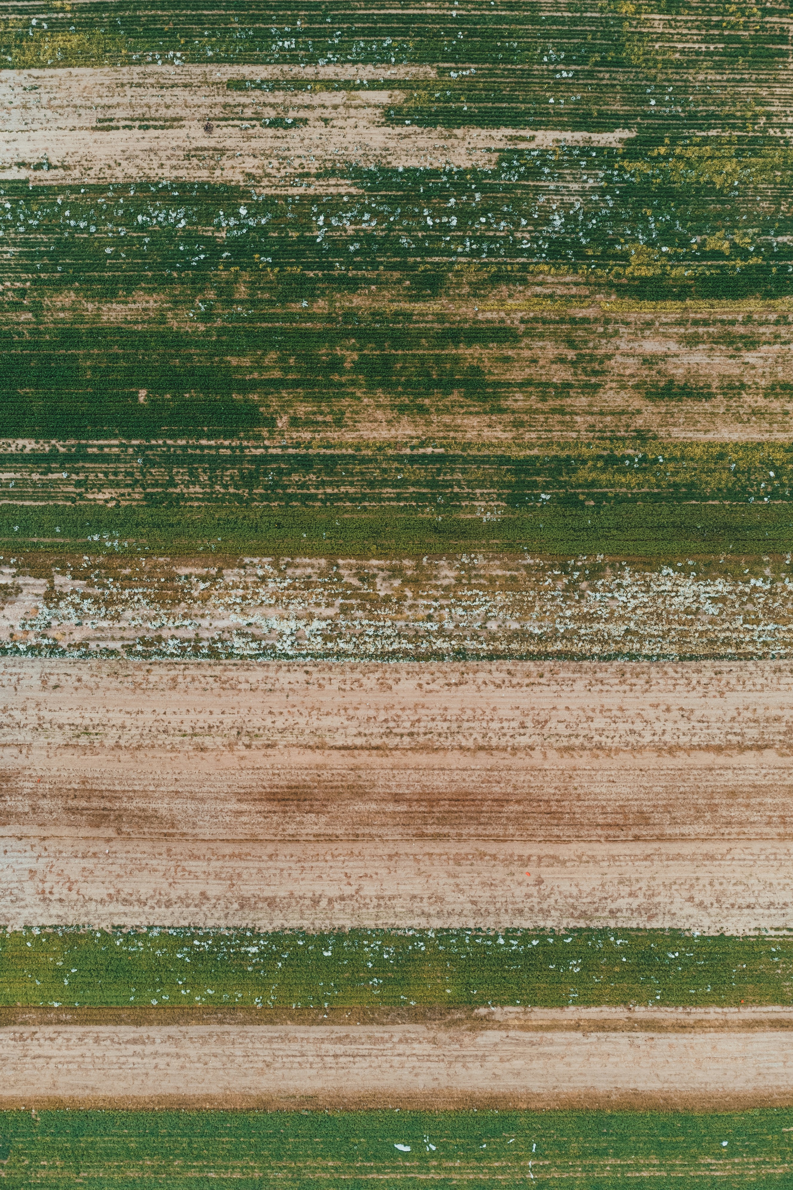 Photo by introspectivedsgn