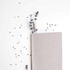 silver and gold beaded necklace