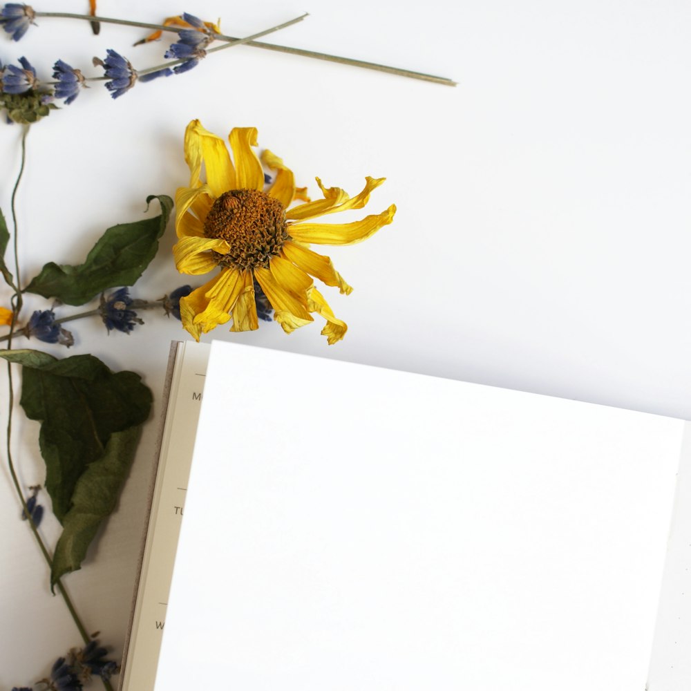 yellow flower on white wooden table