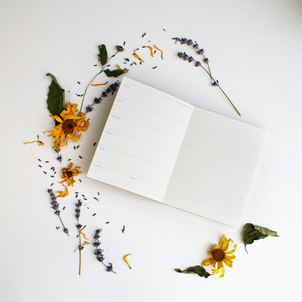 500+ Greeting Card Pictures [HD] | Download Free Images on Unsplash