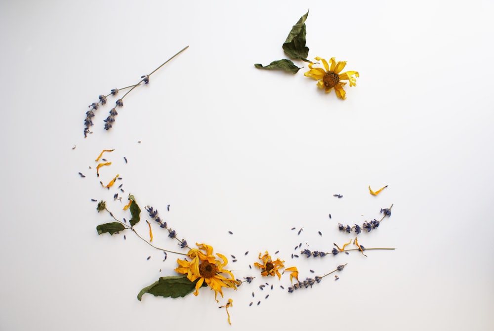 yellow and white flowers on white ceramic plate