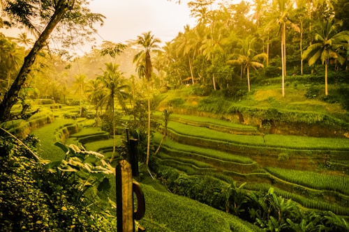 Traditional Bali Architecture