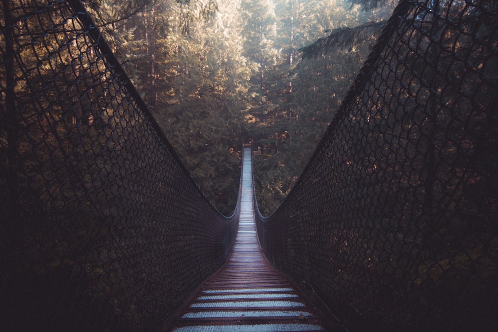 brown wooden bridge over river