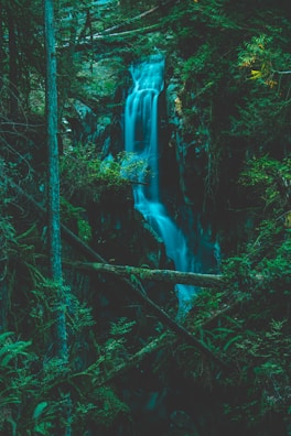 A serene morning scene at a hidden waterfall surrounded by dense jungle foliage.