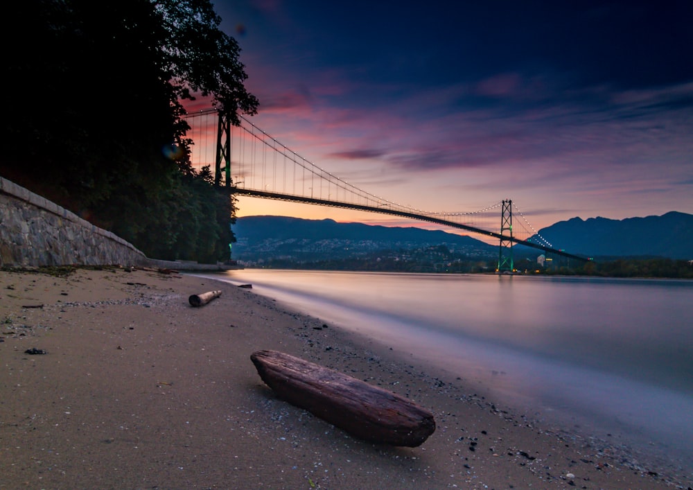 brown wooden log on beach shore near bridge during night time