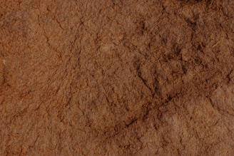 brown thick pile area rug