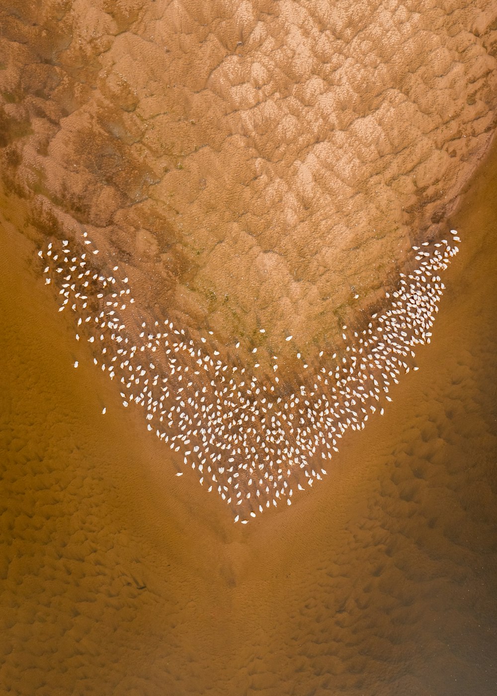 brown sand with heart shaped