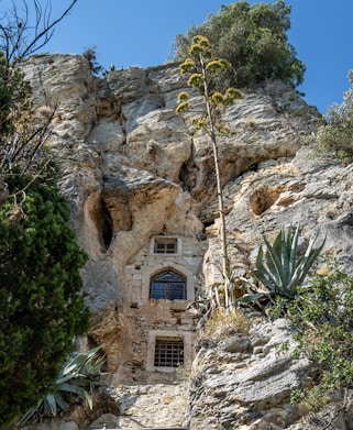 brown concrete house near green trees during daytime