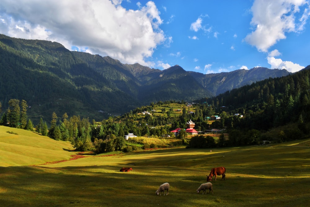 brown cow on green grass field near green trees and mountains under blue and white cloudy