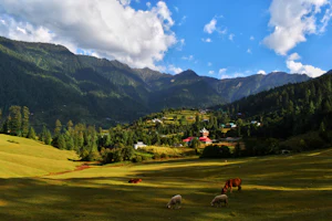 Local culture, Himachal Pradesh