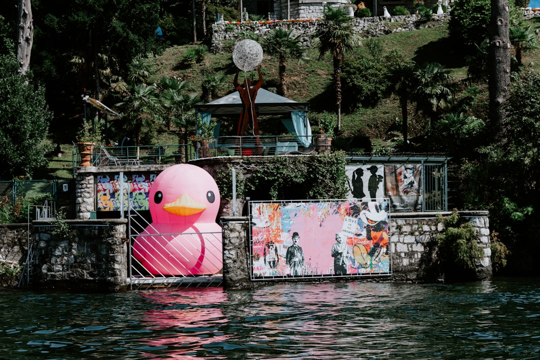 yellow pink and blue inflatable balloons floating on water during daytime