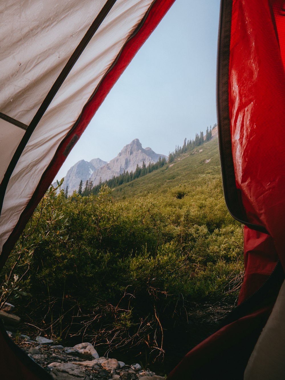 red and black tent on green grass field during daytime