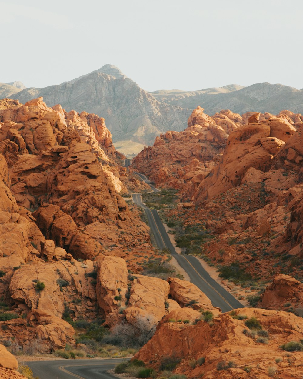 Strada grigia tra le montagne rocciose marroni durante il giorno