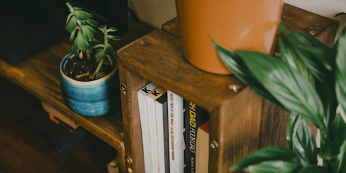 orange plastic container on brown wooden shelf