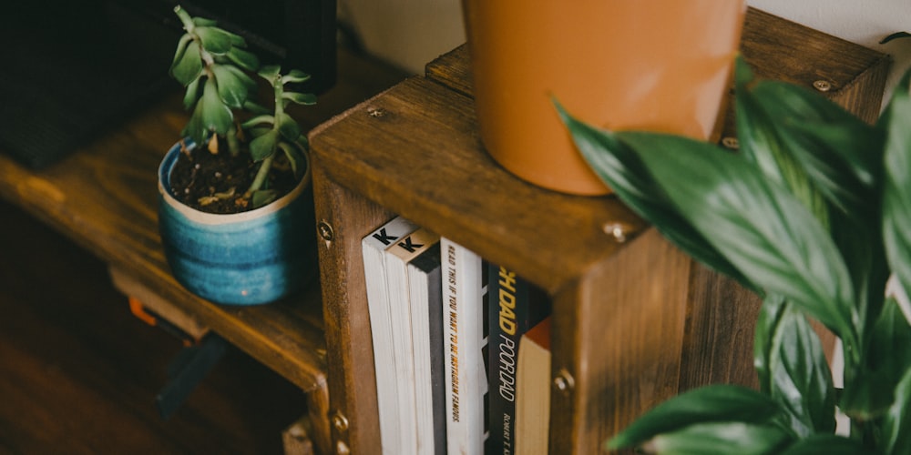 orange plastic container on brown wooden shelf