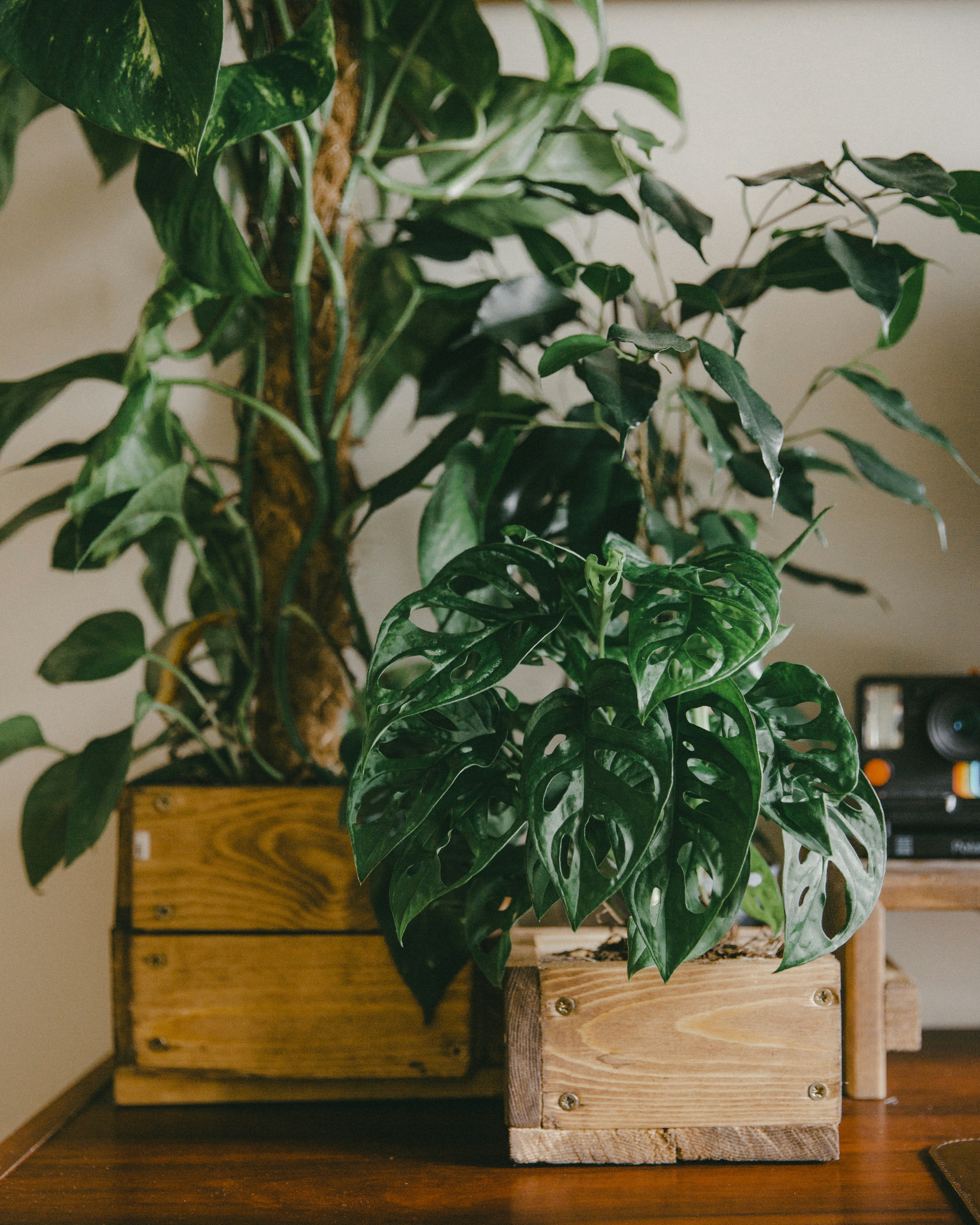 Photo by greaterbythehour2020