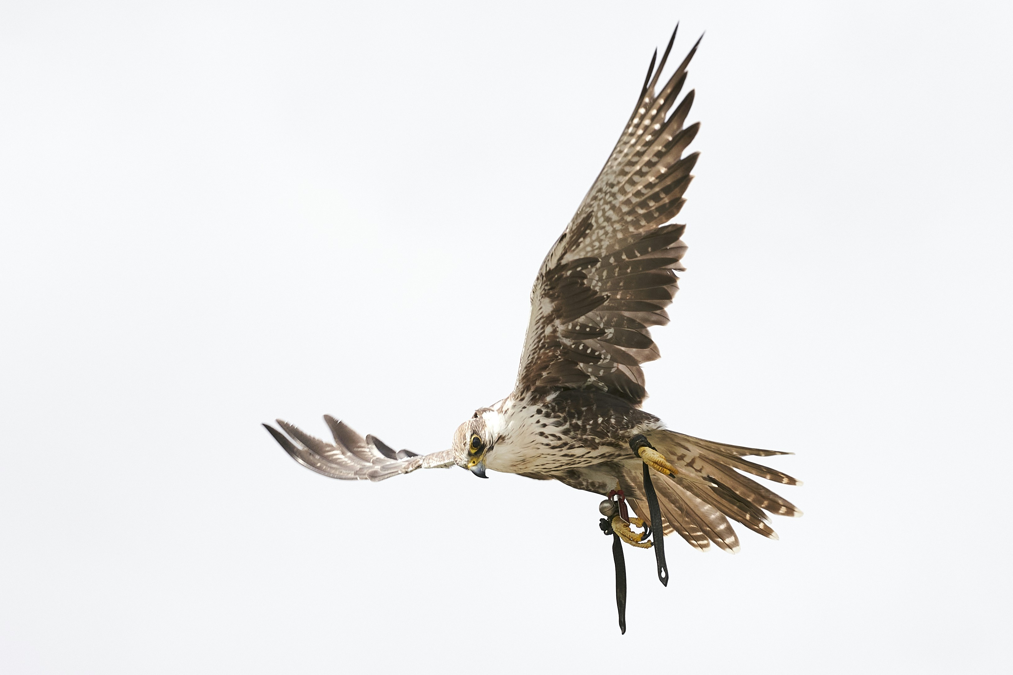 Photo by ingodoerrie