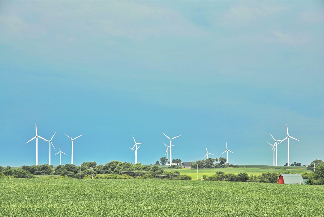 white wind turbines on green grass field under blue sky during daytime