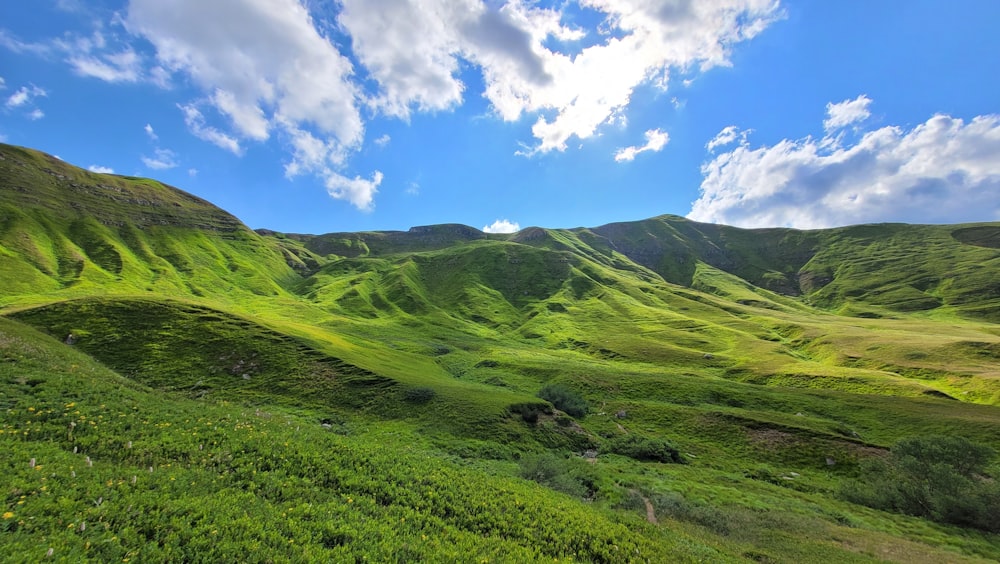 green grass field under blue sky and white clouds during daytime