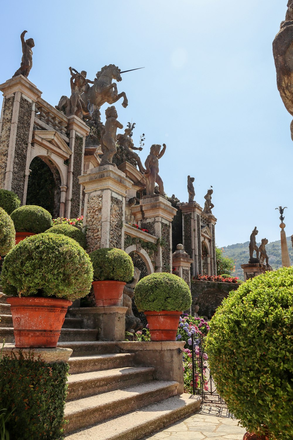 green plants on brown clay pots