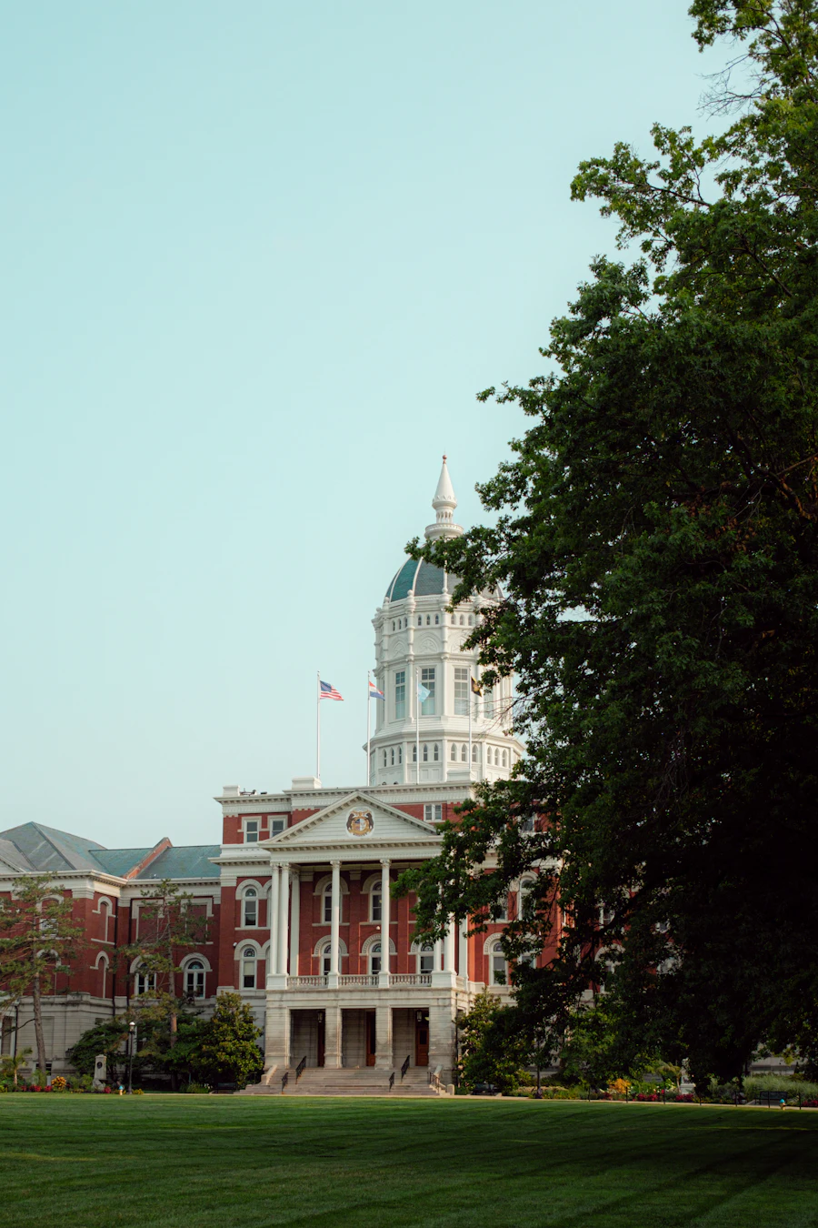 Green trees near a white building