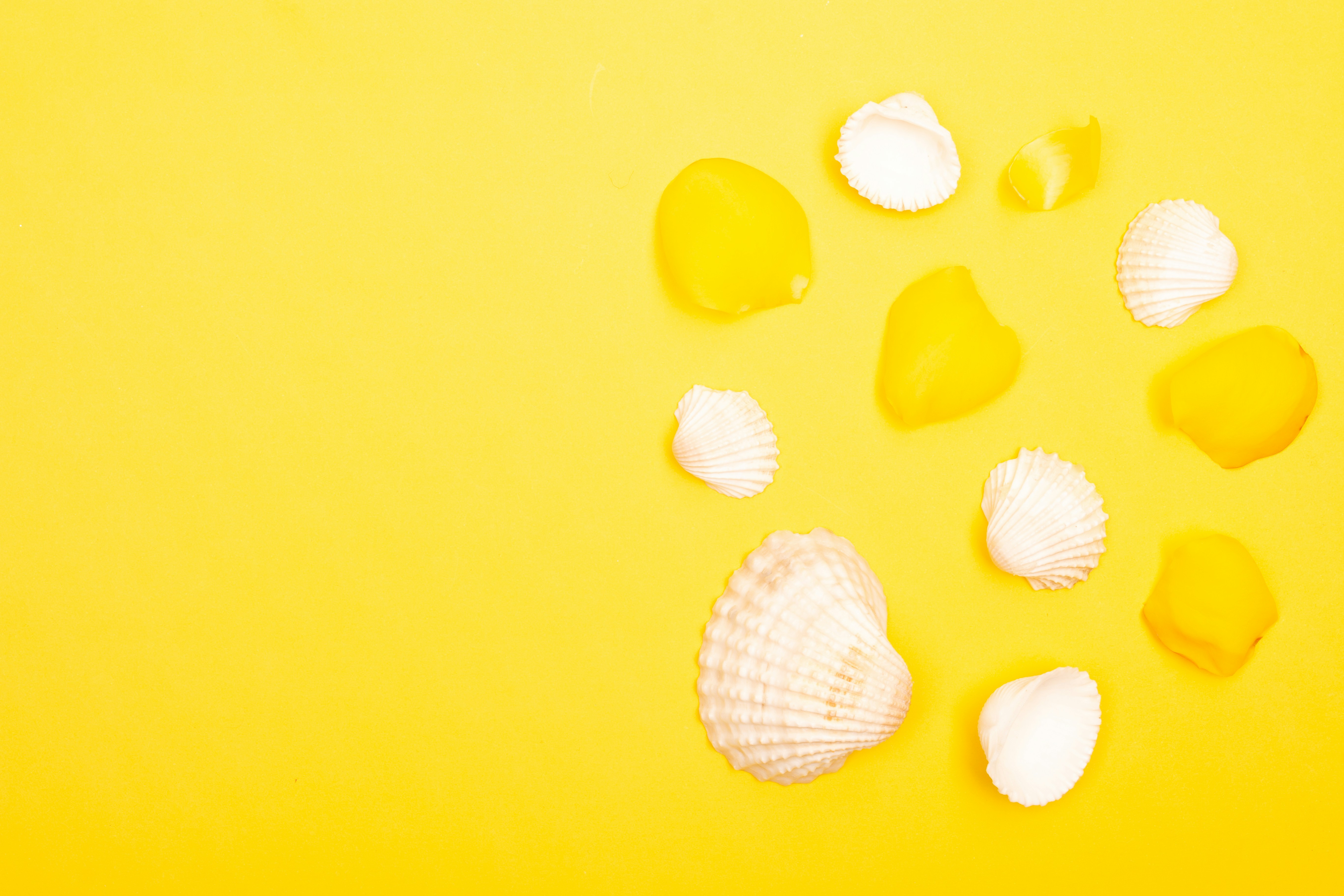 Photo by tamanna_rumee