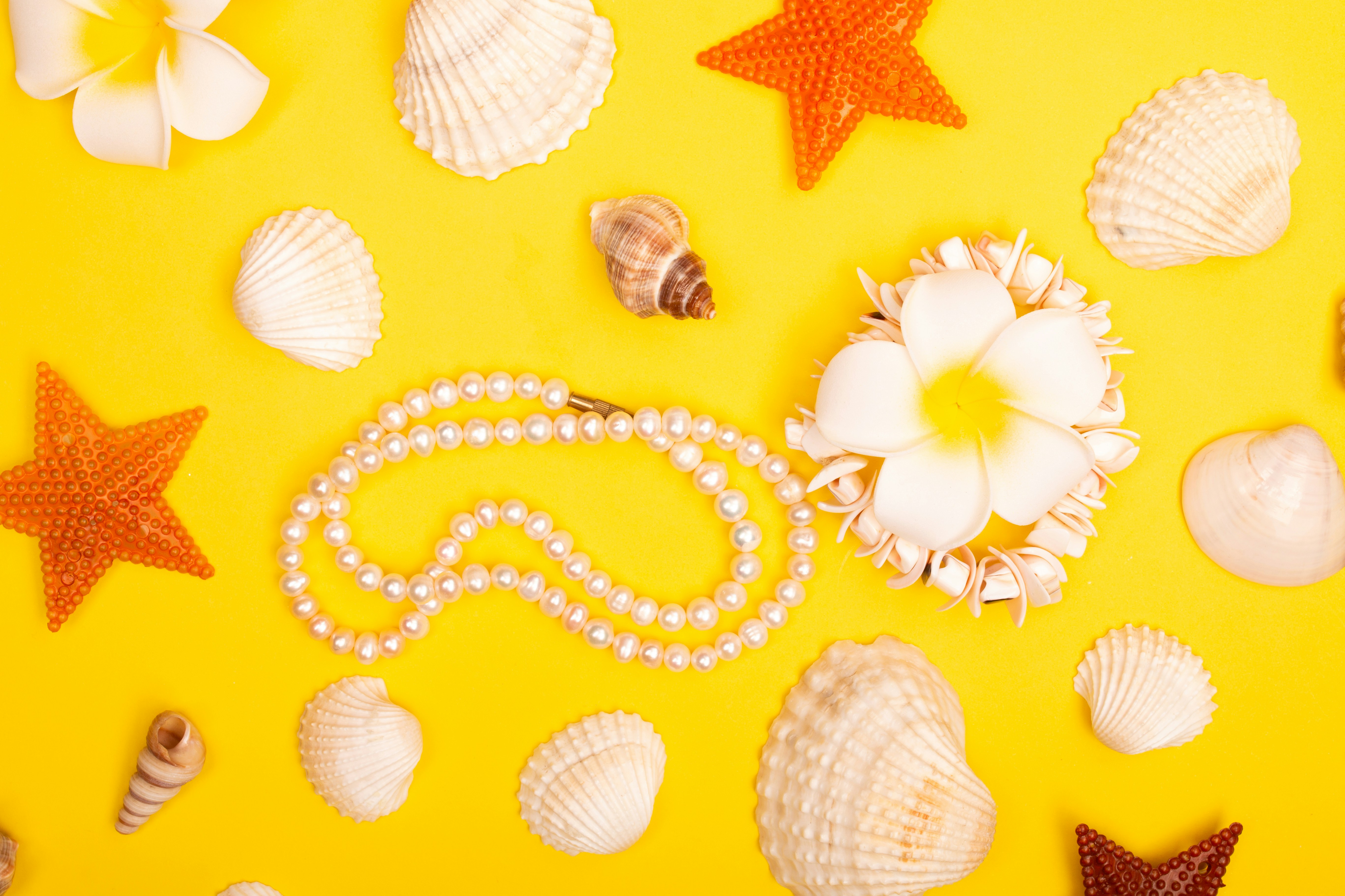 Photo by tamanna_rumee