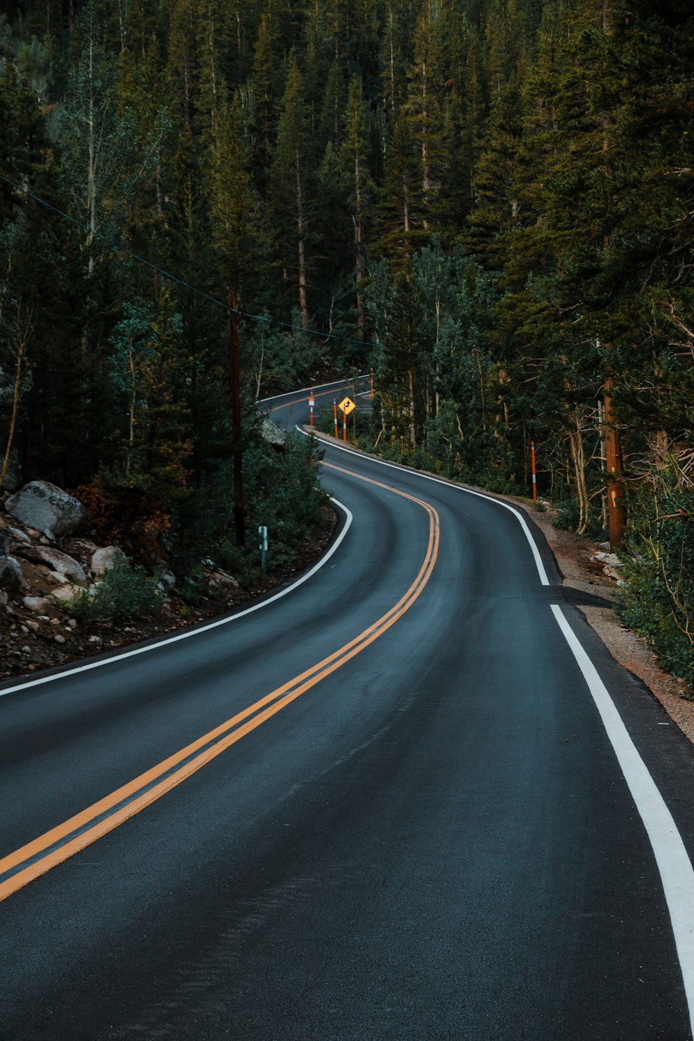 Carretera de asfalto negro entre árboles verdes durante el día