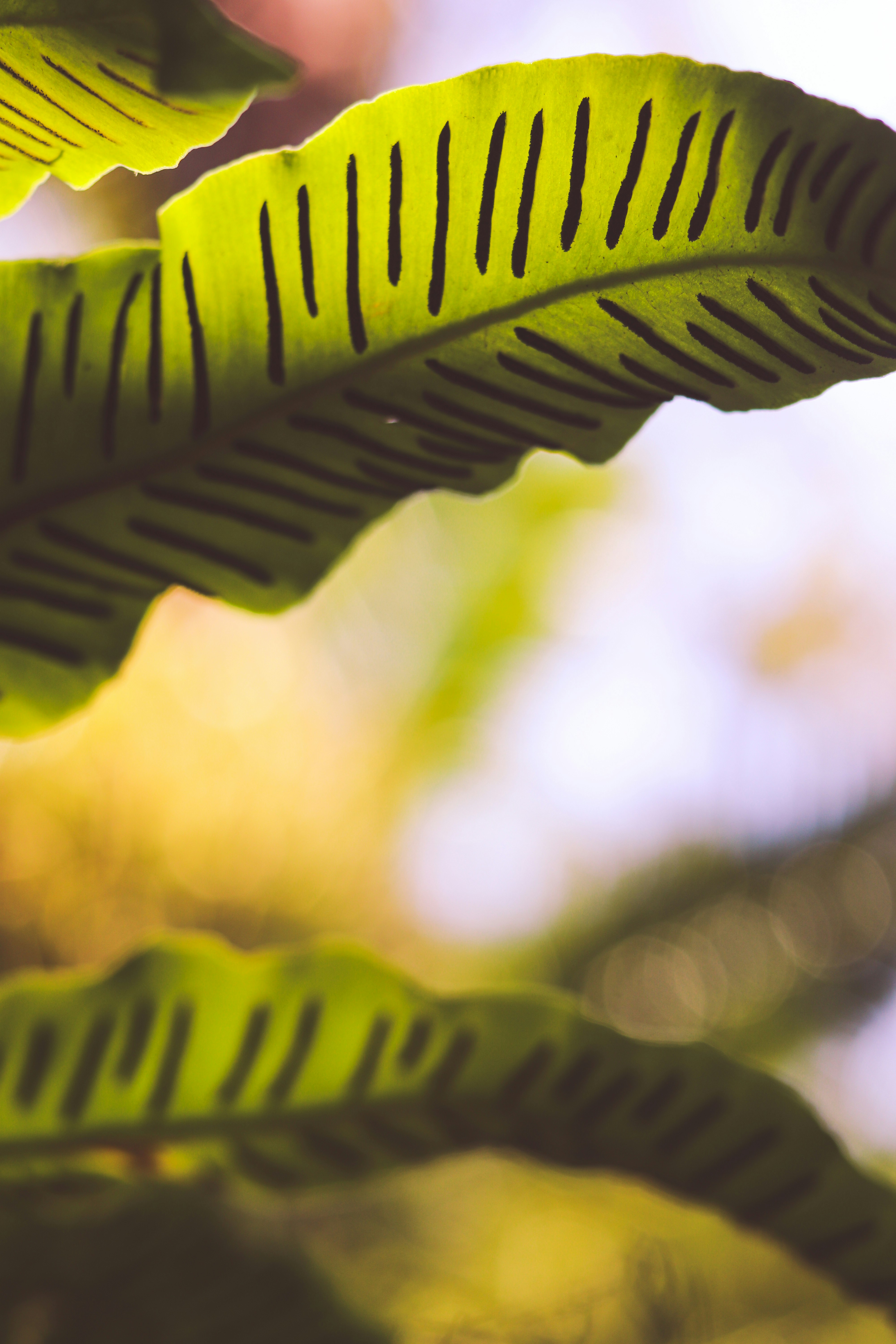 Photo by midget_gem19