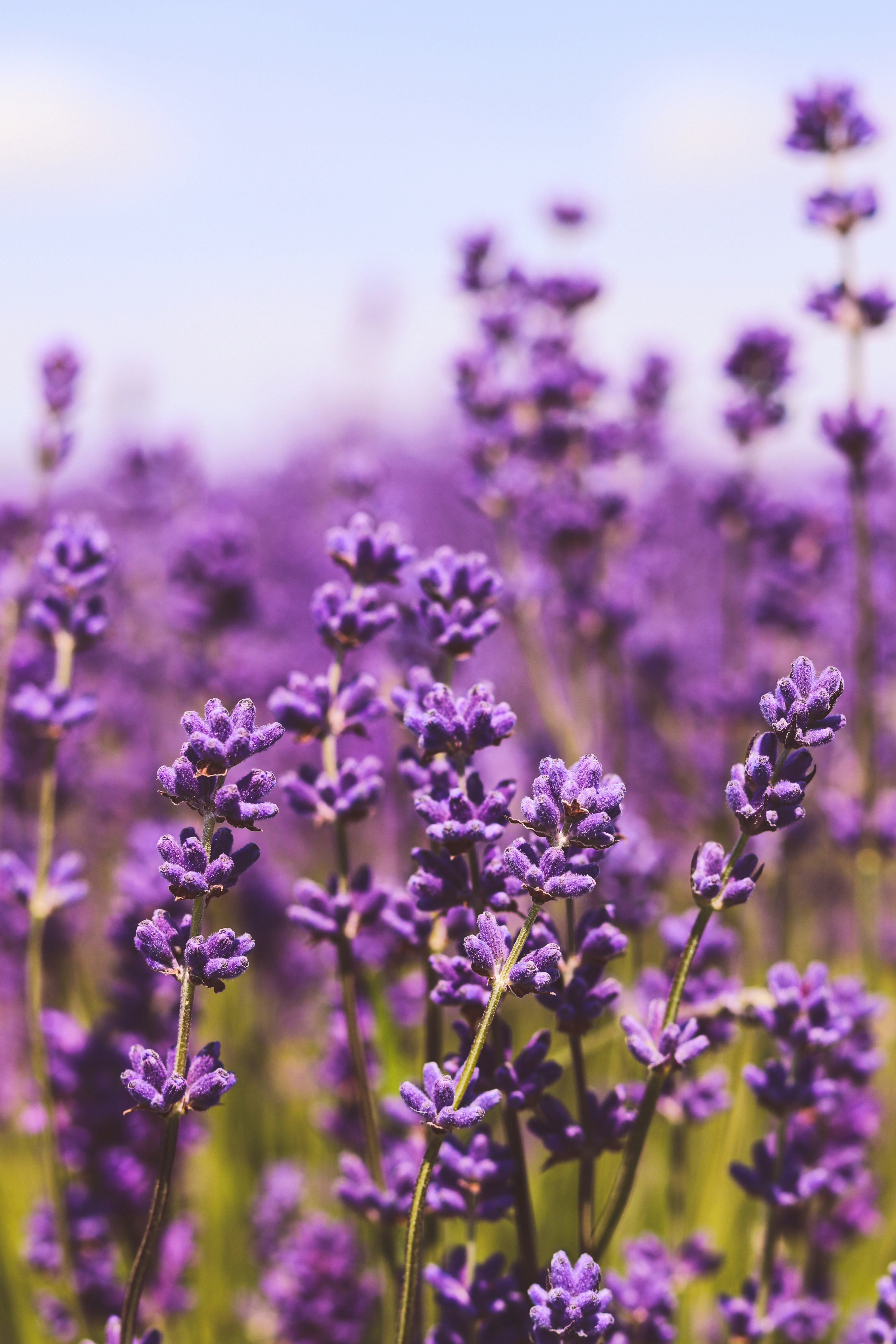 Photo by midget_gem19