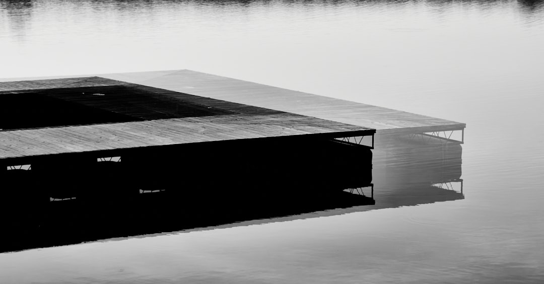black and white wooden dock on calm water
