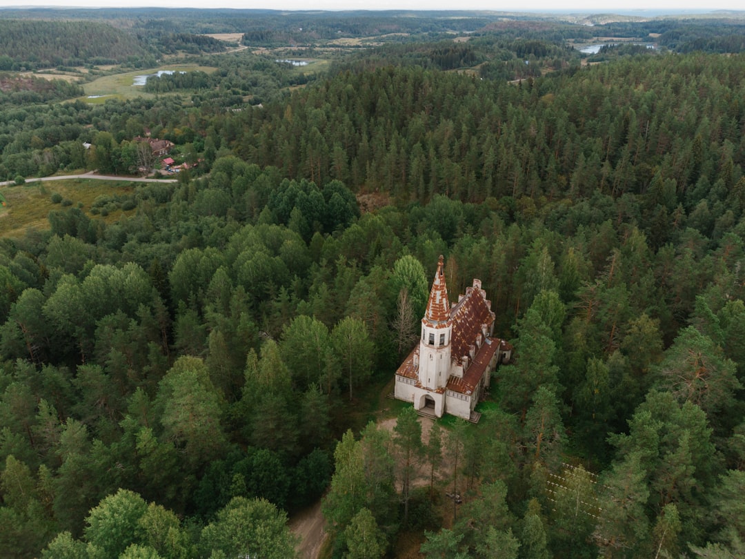 aerial view of green trees during daytime