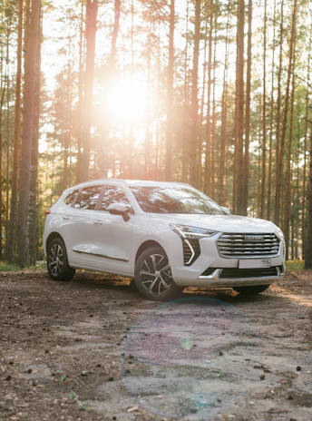 A spacious white SUV cruising through a forest trail with sunlight filtering through the trees.