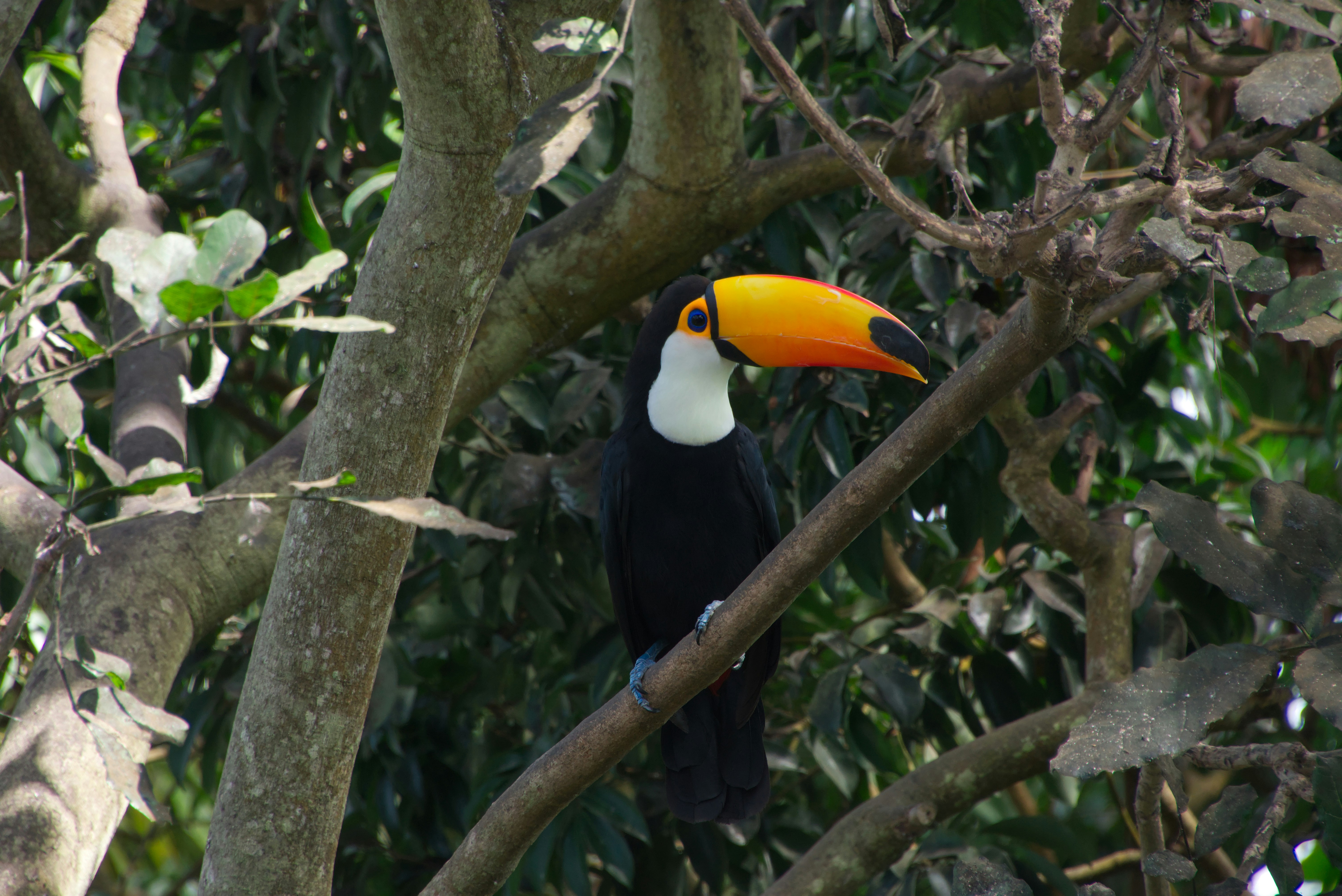 Photo by job_vermeulen