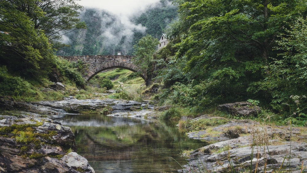 ponte de concreto marrom sobre o rio