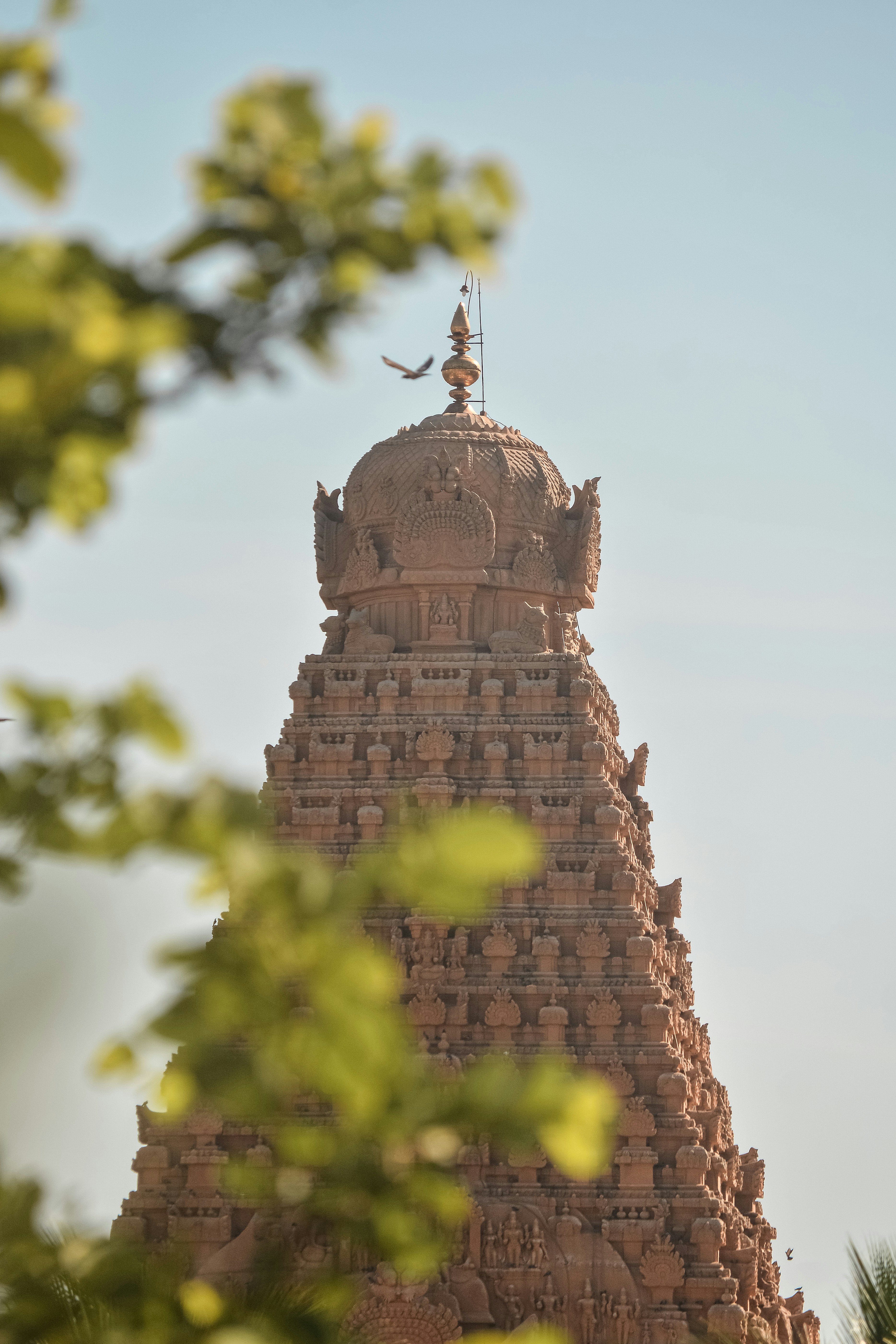 Photo by tamil_shutter_dreams