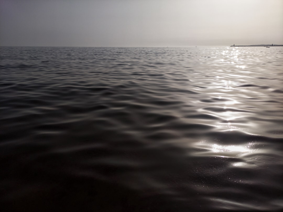 body of water during daytime