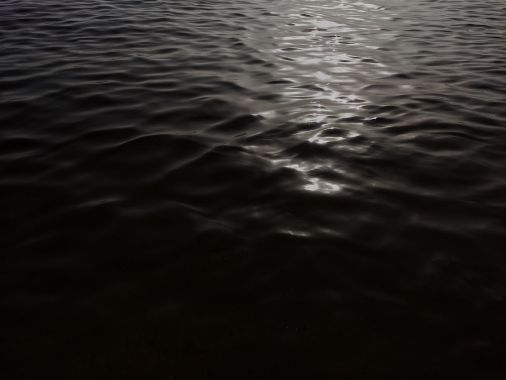 body of water during daytime