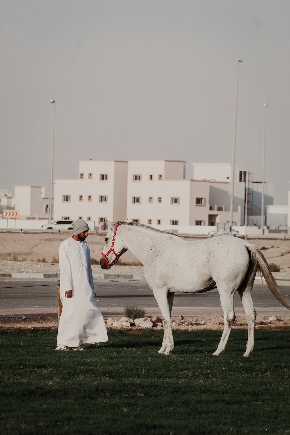 Mujer en vestido blanco montando caballo blanco durante el día